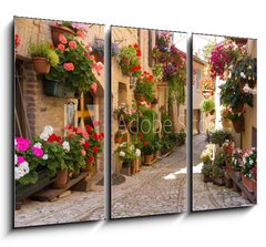 Obraz 3D tdln - 105 x 70 cm F_BB53374967 - Vicolo con fiori, Spello