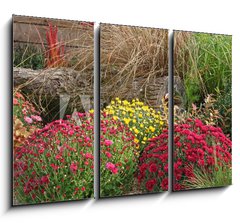 Obraz 3D tdln - 105 x 70 cm F_BB53522146 - chrysanthmes en massif
