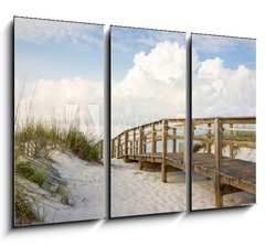 Obraz 3D tdln - 105 x 70 cm F_BB53525706 - Boardwalk in the Beach Sand Dunes