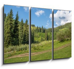 Obraz   Nature of green trees, road on Medeo, Kazakhstan, 105 x 70 cm