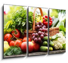Obraz 3D tdln - 105 x 70 cm F_BB53663656 - Fresh organic vegetables in wicker basket in the garden