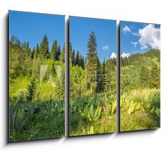 Obraz   Nature of green trees and blue sky, near Medeo in Kazakhstan, 105 x 70 cm