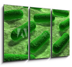 Obraz 3D tdln - 105 x 70 cm F_BB53968782 - E coli Bacteria. - Bakterie E coli.