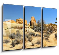 Obraz 3D tdln - 105 x 70 cm F_BB54332730 - Joshua Tree