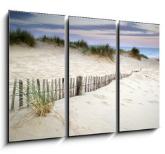 Obraz 3D tdln - 105 x 70 cm F_BB54417902 - Grassy sand dunes landscape at sunrise
