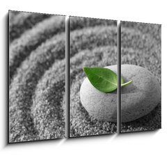 Obraz 3D tdln - 105 x 70 cm F_BB5482325 - Zen garden