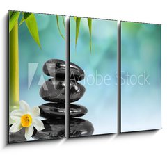 Obraz 3D tdln - 105 x 70 cm F_BB55037906 - Stones and Bamboo on the water with narcissus flower