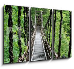 Obraz 3D tdln - 105 x 70 cm F_BB55730314 - Pont de lianes Kazura-bashi  Oku Iya, Shikoku, Japon