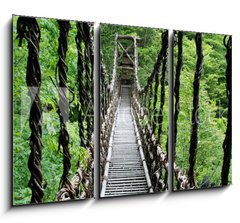 Obraz   Pont de lianes Kazura bashi Oku Iya, Shikoku, Japon, 105 x 70 cm