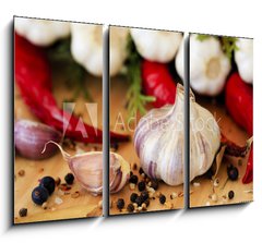 Obraz   Garlic and spices, 105 x 70 cm