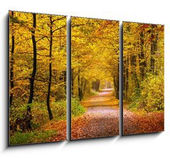 Obraz 3D tdln - 105 x 70 cm F_BB55873204 - Autumn forest