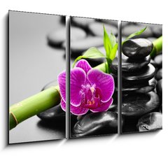 Obraz 3D tdln - 105 x 70 cm F_BB56279364 - orchid