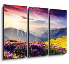 Obraz 3D tdln - 105 x 70 cm F_BB56511624 - nature - Proda