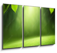 Obraz 3D tdln - 105 x 70 cm F_BB57381095 - Spring forest  background