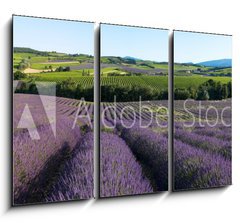 Obraz 3D tdln - 105 x 70 cm F_BB5757066 - panoramique - Champ de lavande en Provence