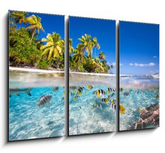 Obraz   Tropical island, 105 x 70 cm