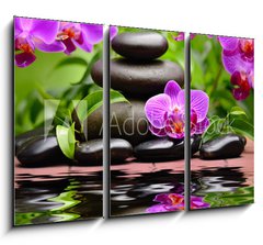 Obraz 3D tdln - 105 x 70 cm F_BB58101039 - orchid