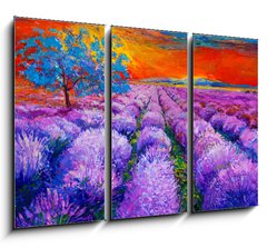 Obraz 3D tdln - 105 x 70 cm F_BB59143146 - Lavender fields