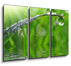 Obraz 3D tdln - 105 x 70 cm F_BB59247647 - dew drops close up