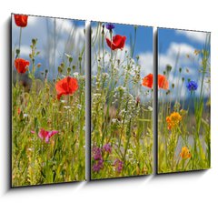 Obraz 3D tdln - 105 x 70 cm F_BB5928687 - Colorful wildflowers