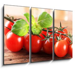 Obraz 3D tdln - 105 x 70 cm F_BB59524463 - Bunch of red tomatoes - Banda ervench rajat