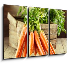 Obraz 3D tdln - 105 x 70 cm F_BB59972798 - fresh carrots