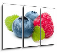 Obraz 3D tdln - 105 x 70 cm F_BB60008014 - Raspberry and blueberry isolated on white background - Malina a borvka izolovanch na blm pozad