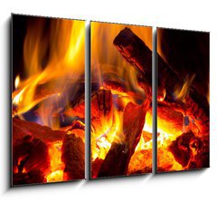 Obraz 3D tdln - 105 x 70 cm F_BB60068299 - flame of fire