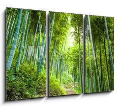 Obraz 3D tdln - 105 x 70 cm F_BB60510509 - Bamboo forest and walkway