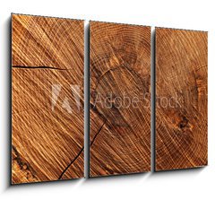 Obraz 3D třídílný - 105 x 70 cm F_BB60558445 - Wooden background