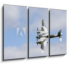 Obraz 3D tdln - 105 x 70 cm F_BB60700500 - Mosquito in flight