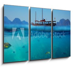 Obraz 3D tdln - 105 x 70 cm F_BB61530443 - Tropical underwater shot splitted with ship and sky