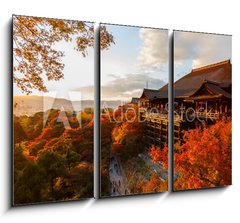 Obraz 3D tdln - 105 x 70 cm F_BB61926221 - Kiyomizu-dera temple in Kyoto