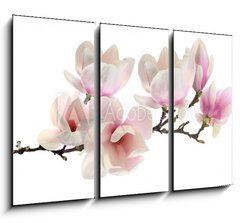 Obraz 3D tdln - 105 x 70 cm F_BB61937427 - spring