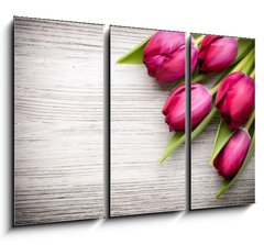 Obraz 3D tdln - 105 x 70 cm F_BB62463795 - Tulip.