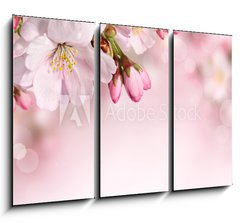 Obraz 3D tdln - 105 x 70 cm F_BB62918390 - Spring flowers background with pink blossom