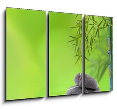 Obraz 3D třídílný - 105 x 70 cm F_BB63091641 - dcor relaxant zen asiatique : bambou et galets - dcor relaxant zen asiatique: bambou et galets