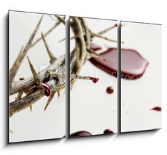 Obraz 3D tdln - 105 x 70 cm F_BB63092585 - Drops of  Blood