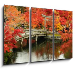 Obraz 3D tdln - 105 x 70 cm F_BB63969080 - Autumn foliage at Eikando Temple in Kyoto, Japan