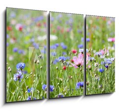 Obraz   prairie fleurie, 105 x 70 cm
