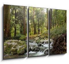 Obraz 3D tdln - 105 x 70 cm F_BB64308418 - forest waterfall