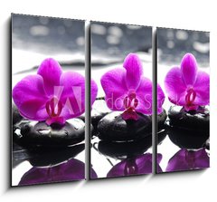 Obraz   Three orchid flower and stones with reflection in water drops, 105 x 70 cm