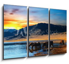 Obraz 3D tdln - 105 x 70 cm F_BB6438532 - Herd of horses in mongolian wilderness