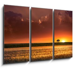 Obraz   Sunset in the agricultural areas, 105 x 70 cm