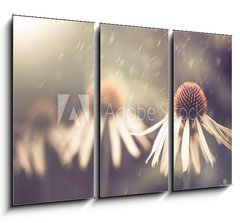 Obraz 3D tdln - 105 x 70 cm F_BB64765134 - summer flower under rain