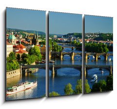 Obraz   View of Charles Bridge in Prague from Letensky gardens., 105 x 70 cm