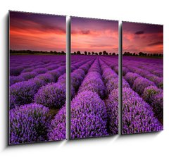 Obraz 3D tdln - 105 x 70 cm F_BB64900250 - Stunning landscape with lavender field at sunset