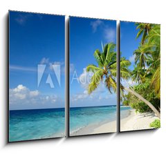 Obraz 3D tdln - 105 x 70 cm F_BB64951147 - Strand mit Palmen