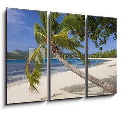 Obraz 3D tdln - 105 x 70 cm F_BB65416367 - Tropical Paradise - Fiji - South Pacific Ocean
