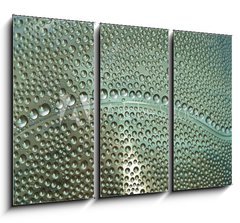Obraz   waterdrops, 105 x 70 cm